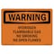 Signmission OSHA, Hydrogen Flammable Gas No Smoking No Open Flames, 10in X 7in Rigid Plastic, WS-P-710-L-12191 OS-WS-P-710-L-12191 - alternate 1